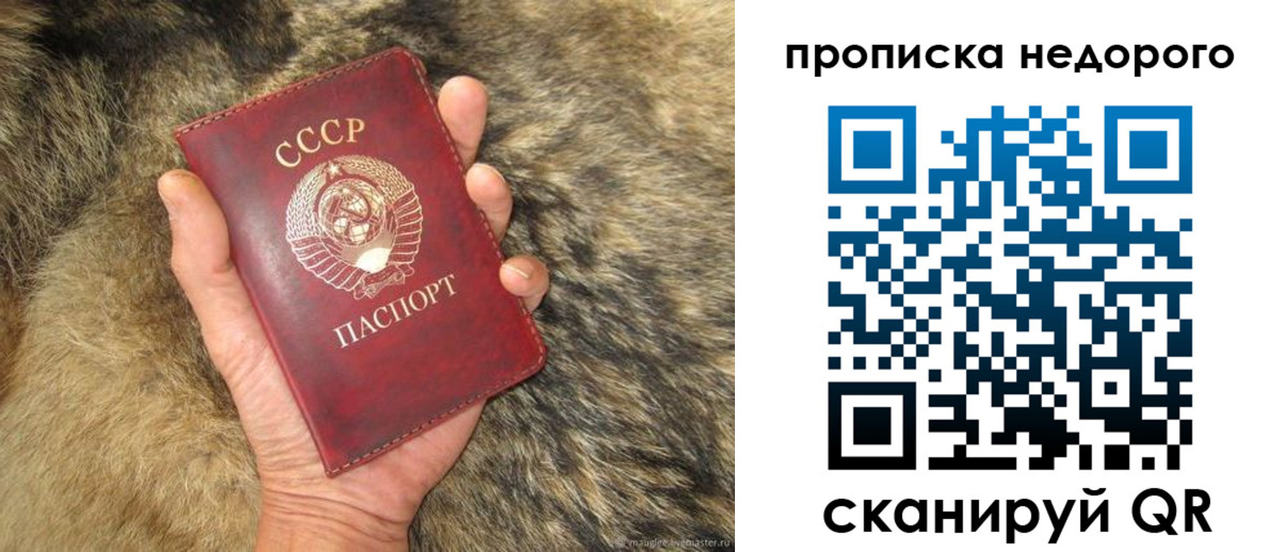 прописка для школы в Краснокаменске